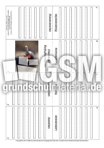 Faltbuch-Rotfußkormoran.pdf